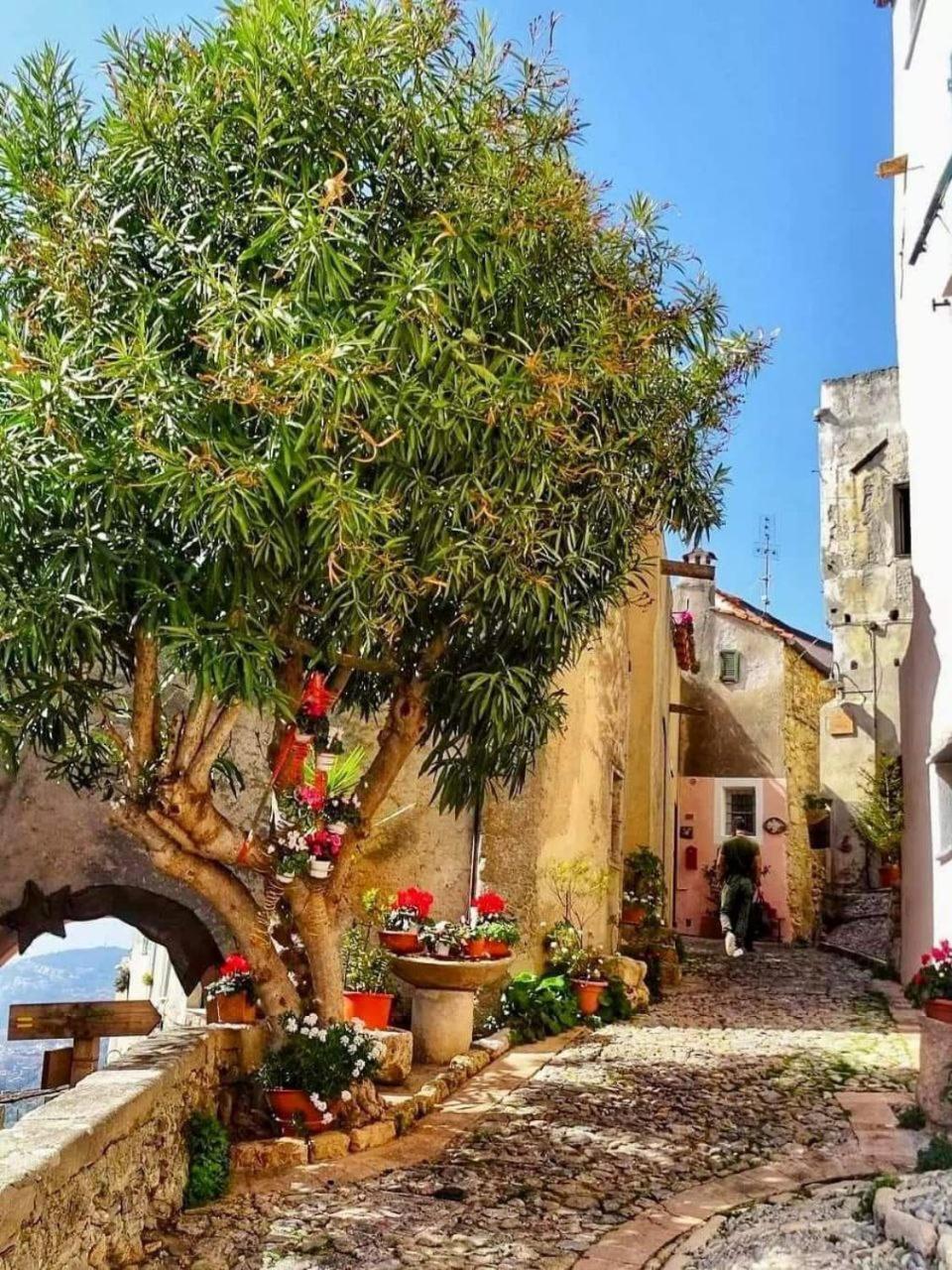Cinque Terre House With Breakfast Andoptional Access To Pool, Jacuzzi & Sauna Apartment Sarzana